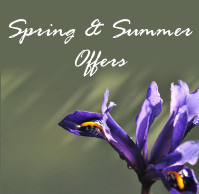 Click here for Special Offers